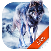 ”Ice Wolf Live Wallpaper