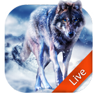 Lobo blanco fondo de pantalla en vivo icono