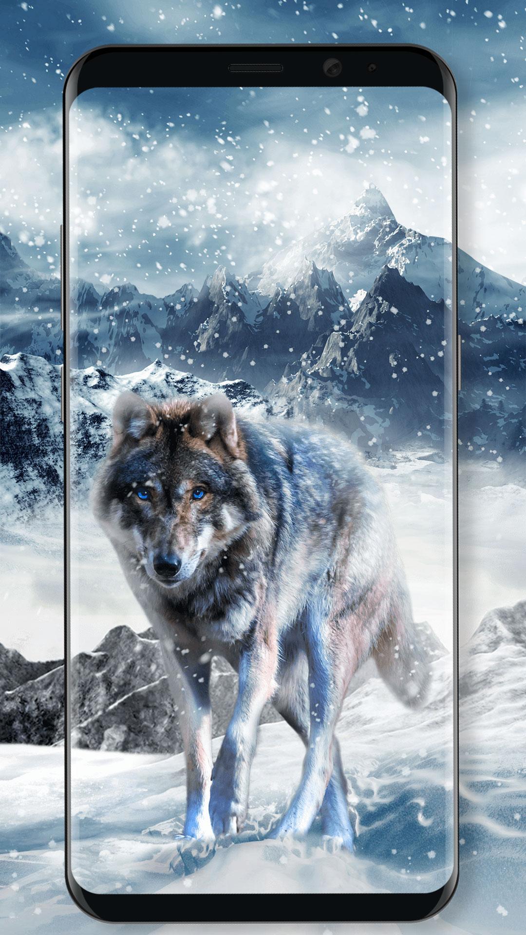 Evil wolf Abstract Ultra HD 4K Wallpapers Shadow wolf, Wolf wallpaper, Wolf phot