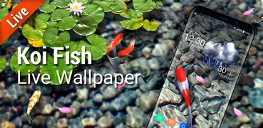 Koi Fish Live Wallpaper