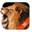 ”Lion Live Wallpaper Free