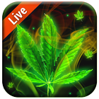 Weed & Marijuana Live Wallpapers and Backgrounds icon