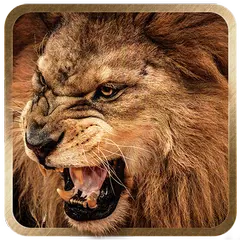3D Lion live wallpaper APK download