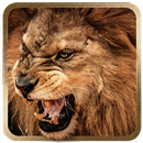 3D Lion live wallpaper APK