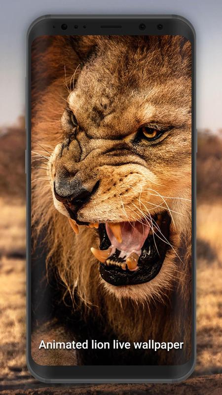 3d Lion Live Wallpaper For Android Apk Download