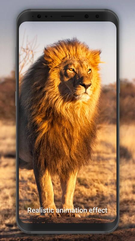 3d Lion Live Wallpaper For Android Apk Download