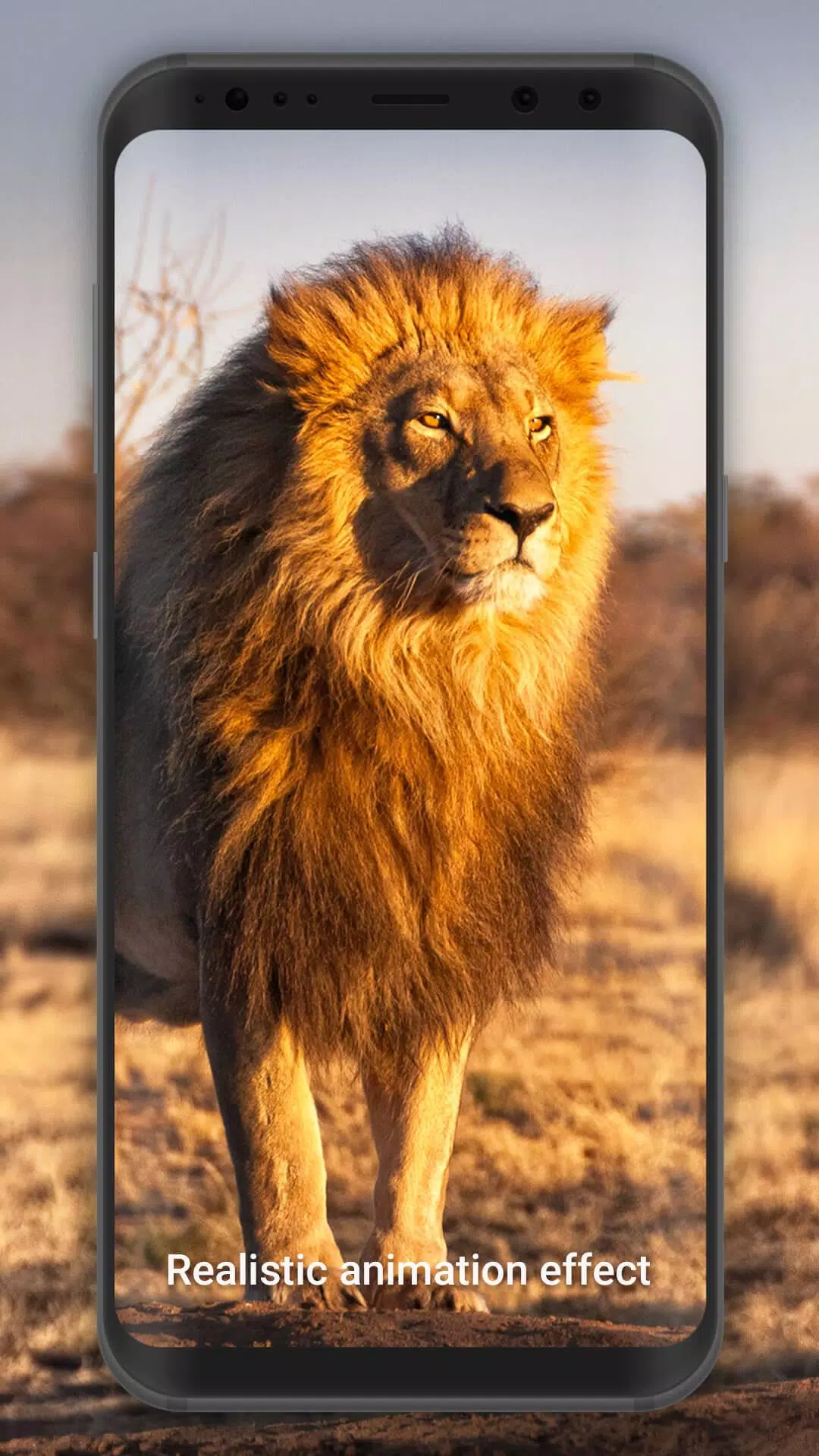 Android용 3D Lion live wallpaper APK 다운로드 Android용 3D Lion live wallpaper APK 다운로드