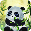 Panda Live Wallpaper for Free APK