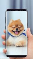 Cute Puppy Dog Live Wallpaper screenshot 1