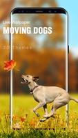 Красивые щенок живые обои постер