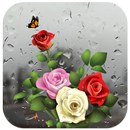 Rose Live Wallpaper with Waterdrops APK