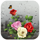 Rose Live Wallpaper with Waterdrops icône