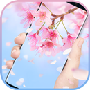 Sakura & cherry blossom Live Wallpaper APK