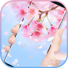 Sakura & cherry blossom Live Wallpaper biểu tượng