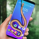 Snake on Screen Live Wallpaper & Launcher Prank APK