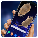 3D Rat on Screen Live Wallpaper & Prank Launcher APK