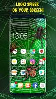 3D Spider on Screen Live Wallpaper for Prank скриншот 2