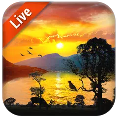 Free Sunrise Live Wallpaper APK download