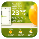 7 Day Weather Forecasts APK
