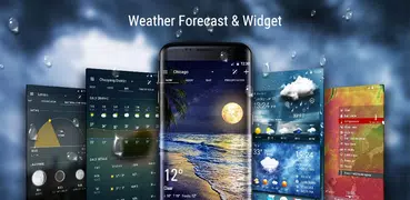 Weather Forecast & Precipitation