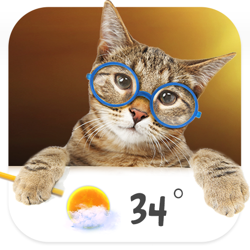 Cat weather widget