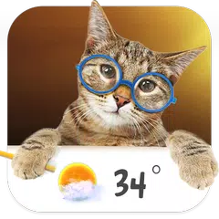 Cat weather widget APK Herunterladen