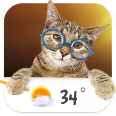 Cat weather widget