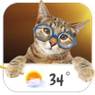 Cat weather widget