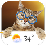 Cat weather widget иконка