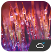Optimus Style Weather Widget