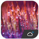 погода виджет прогноз погоды APK
