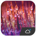 Optimus Style Weather Widget biểu tượng
