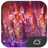 Optimus Style Weather Widget أيقونة