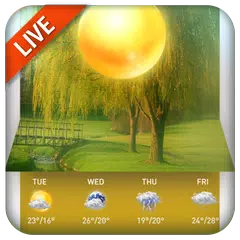 Temperature & Weather Forecast Widget APK download