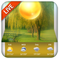 Temperature & Weather Forecast Widget