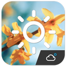 погода виджет прогноз погоды APK