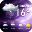 Local weather widget&Forecast
