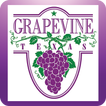 My Grapevine