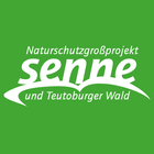 NGP Senne 아이콘