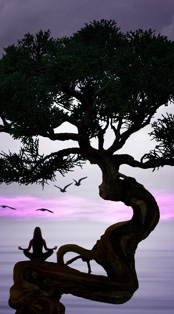 Sleeping voice. Масао Ямамото. Ямамото Масао фотограф. Карликовые деревья Минимализм. Масао Ямамото фотографы Японии.