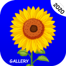Gallery - Photo and Video Player APK