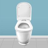 Toilet simulator