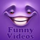 Funny videos app - laugh clips APK