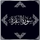 Surah Al-Baqarah in Urdu Tilawat Qari Abdul Basit APK