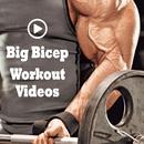 Big Biceps Workout, bicep extension, bicep size. APK