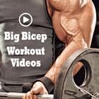 Big Biceps Workout, bicep extension, bicep size. иконка