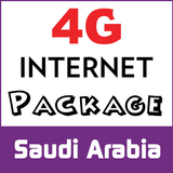 KSA Internet Package icône