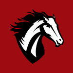 MVK Mavericks icon