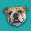 Elizondo Elementary CCSD APK