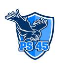 PS45 icône